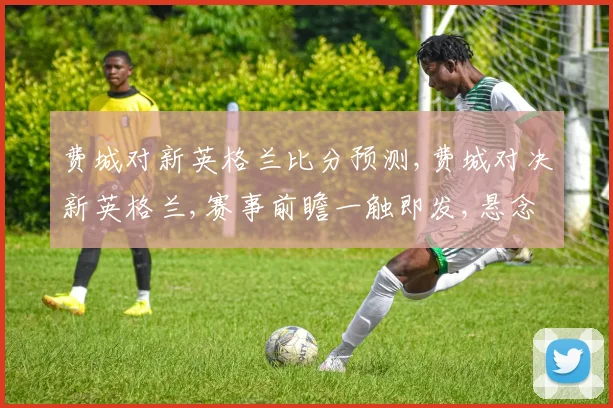 费城对新英格兰比分预测,费城对决新英格兰,赛事前瞻一触即发,悬念重重